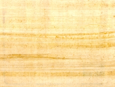 Papyrus 1.jpg
